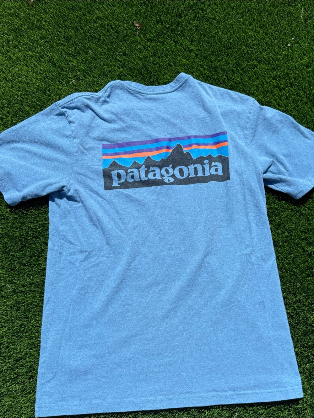 Patagonia Light Blue Graphic Tee with Subtle Logo